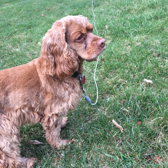 Meet your Posher, Reine - Picture 1 of 3